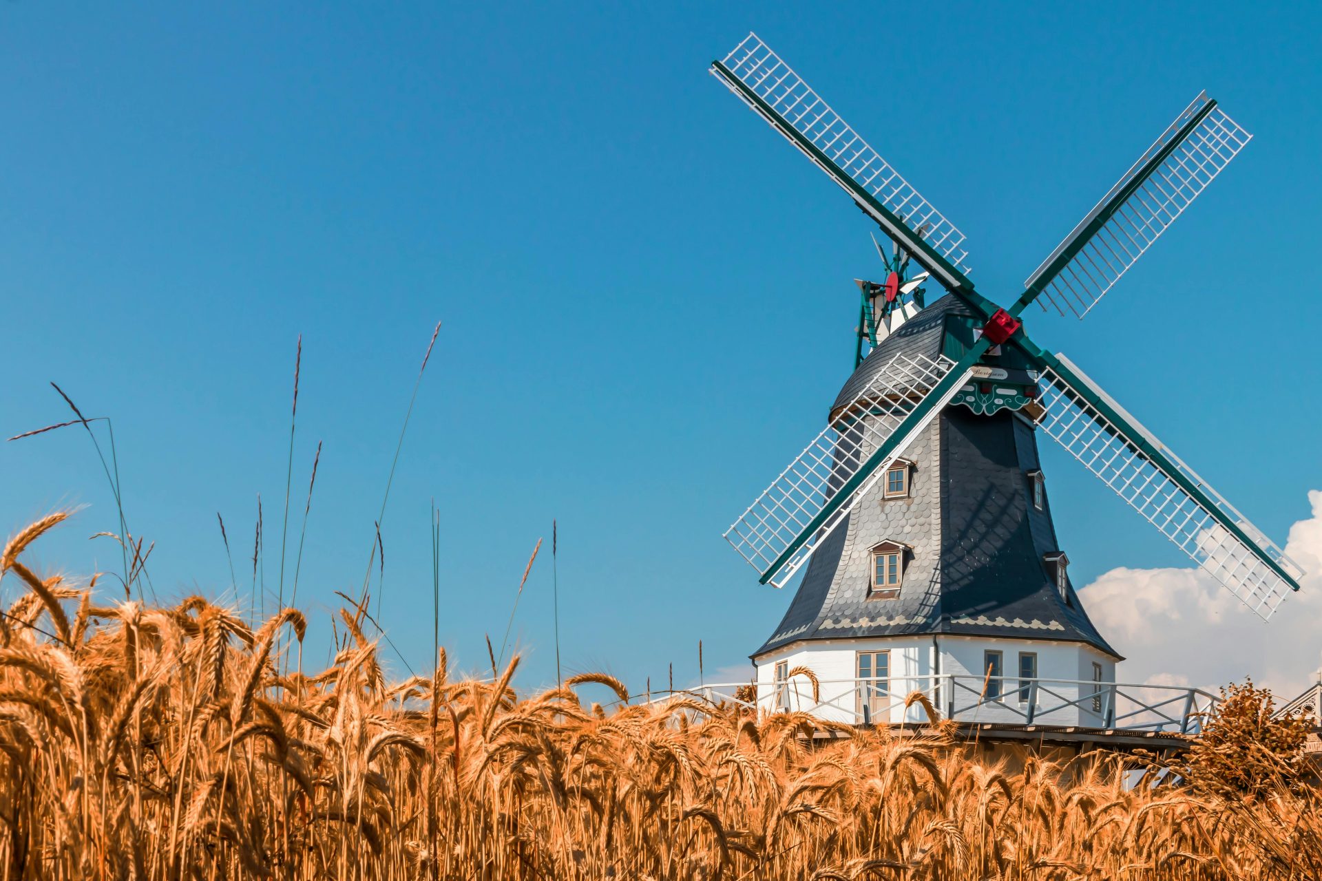 Scenic view of a historic windmill surrounded by a golden wheat field under a clear blue sky.